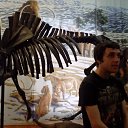 ���� �����, ������, 33 ���� - ��������� 28 ������� 2017 � ������ ���� ����������