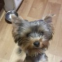 ���� Anton, ���������, 59 ��� - ��������� 30 ���� 2017 � ������ ���� ����������