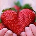 ���� �������, ��������, 55 ��� - ��������� 19 �������� 2017 � ������ ������ ��������