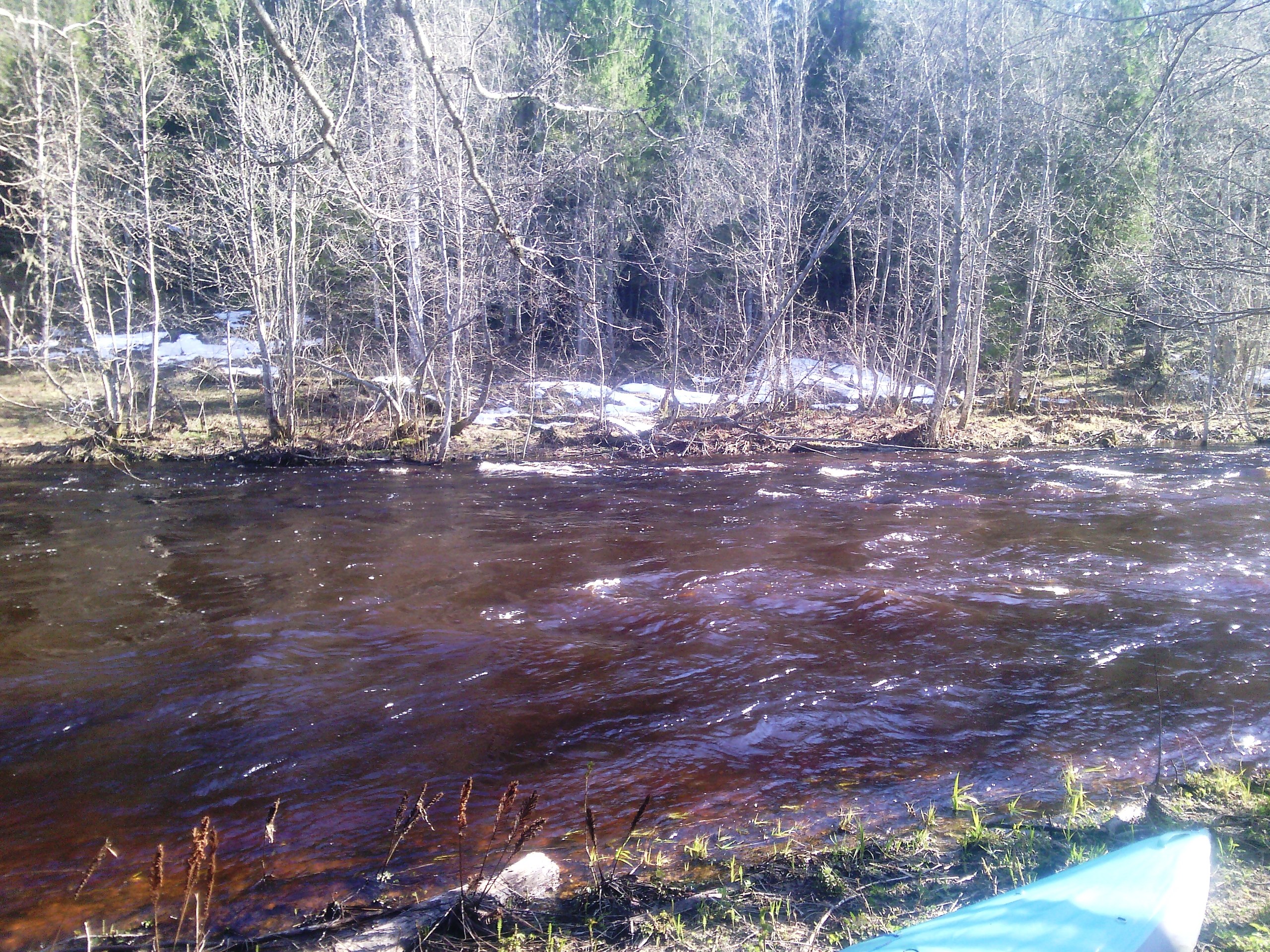 �����. ��� 2017, ��������� ��������. ����� ��������� �����...