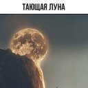 ���� �����, ������, 57 ��� - ��������� 29 ������� 2017 � ������ ���� ����������