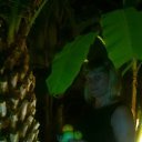 ���� ����, ������ �������� - ��������� 30 ������� 2017 � ������ ���� ����������