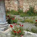 ���� �.�, ������, 47 ��� - ��������� 18 ������� 2017 � ������ ���� ����������