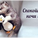 ���� ������, ��������, 41 ��� - ��������� 13 ������ 2017 � ������ ������ ��������