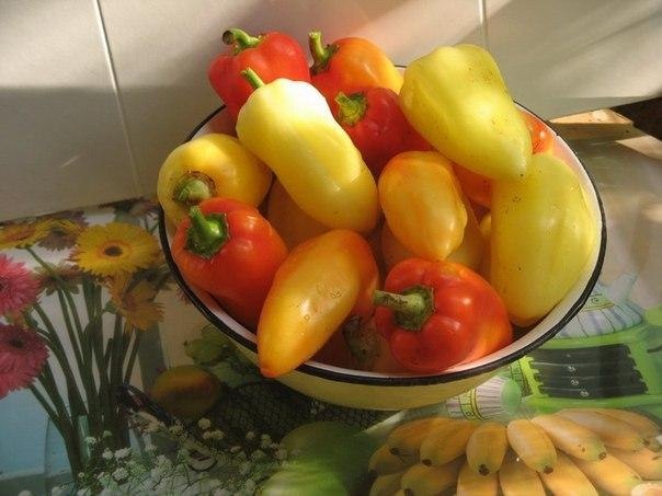   .# # #     ,  ... - 2