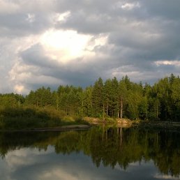 ���� �����, ������, 55 ��� - ��������� 29 ������� 2017