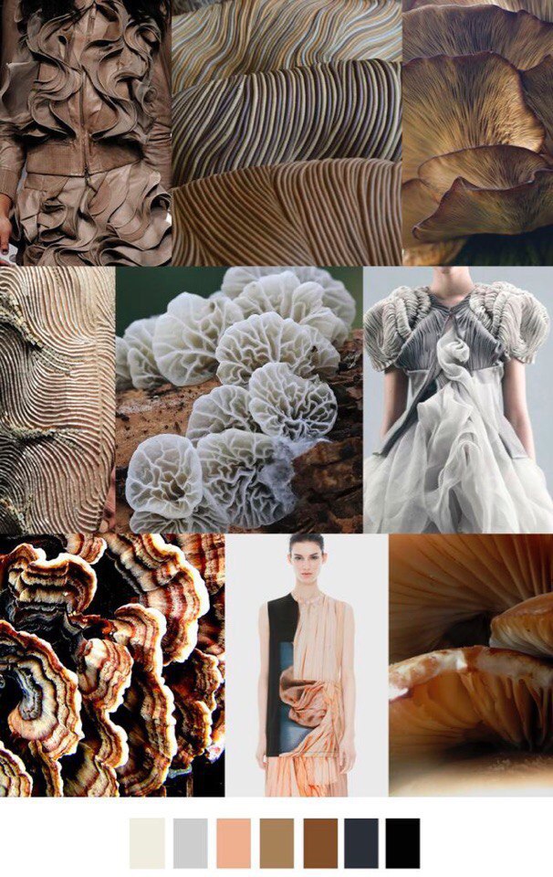  . (. Moodboard   )    ... - 3