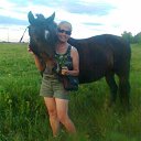 15.06.2017 �. �� ������� ���� ����������