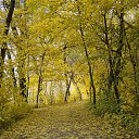 ���� ���������, ������ - ��������� 29 ������� 2017 � ������ ��������� �� ���� ����� 15 ������� 2017 ����