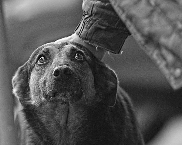 ���� - 23 �������� 2017 � 23:44 - 5