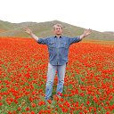 ���� ������, ����-���, 65 ��� - ��������� 16 �������� 2017 � ������ ���� ����������