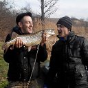 ���� �����, �����, 38 ��� - ��������� 12 ���� 2017 � ������ ���� ����������