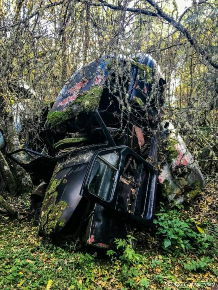  -   ! - 21  2017  07:43
