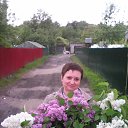 ���� �����, ����������� - ��������� 26 ��� 2017 � ������ �������