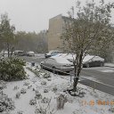 ���� ������, �����������, 44 ���� - ��������� 17 ��� 2017 � ������ ���� ����������