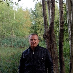 ��������, ������, 67 ���