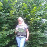 �������, 52 ����, ��������