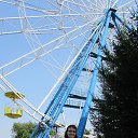 ���� ����, ������, 69 ��� - ��������� 23 ��� 2017 � ������ ���� ����������