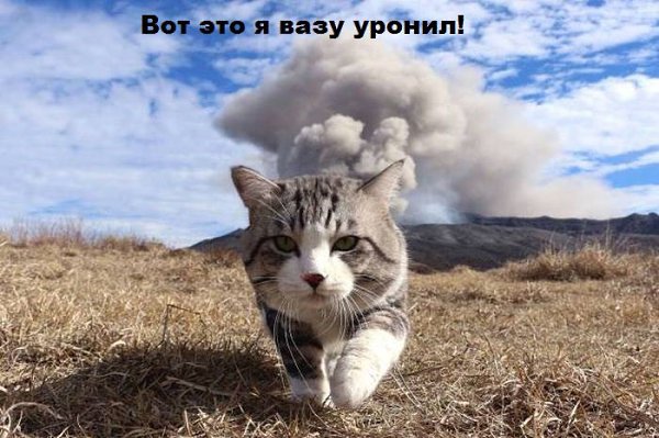 ������� - 28 ������ 2017 � 17:01