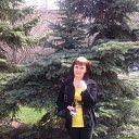 ���� ������-, ������������, 52 ���� - ��������� 4 ��� 2017 � ������ ���� ����������