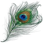 Verochka - 12  2017  09:57 - 2