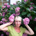 ���� �����, ��������, 54 ���� - ��������� 28 ������� 2017