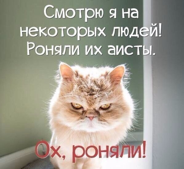   -   - 1  2017  15:45