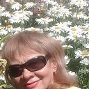 ���� ������, ����, 71 ��� - ��������� 24 ���� 2017 � ������ ���� ����������