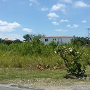 ���� �����, ������, 46 ��� - ��������� 19 ������ 2017 � ������ ���� ����������