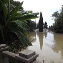 ���� ����, �������, 66 ��� - ��������� 20 �������� 2017 � ������ ��������-������ ����.�