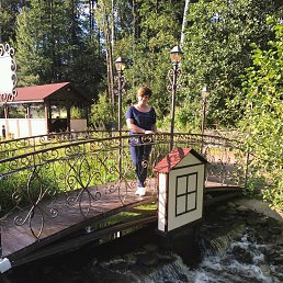 ���� ������, ������, 52 ���� - ��������� 19 ������� 2017