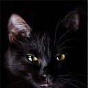 ���� ��������, ������� - ��������� 3 ������� 2017 � ������ ������ ��������