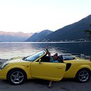 ���� ������, ��������, 49 ��� - ��������� 29 ������� 2017 � ������ ���� ����������