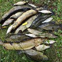 ���� Vyacheslav, �����, 47 ��� - ��������� 10 ������� 2017 � ������ ������ ��������