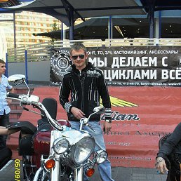 �������, ���������, 39 ���