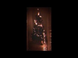  2015. Christmas tree 2015.