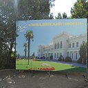  , , 60  -  6  2017   , , ,06.08.17.