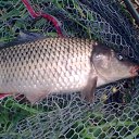 ���� �, ���� - ��������� 28 �������� 2017 � ������ ������ ��������