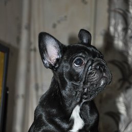 ��������, �����, 47 ���