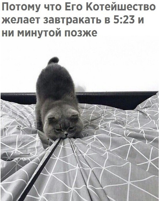   - 2  2017  15:20