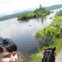 ������ 2017