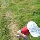 ���� ���������, ����������, 51 ��� - ��������� 28 ������� 2017 � ������ ���� ����������