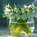 ���� �����, ���������, 79 ��� - ��������� 5 ��� 2017 � ������ ���� ����������