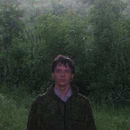 ����, �������, 44 ����