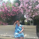  , , 64  -  14  2017       2017