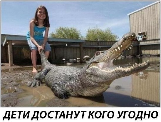 ���� - 10 ������ 2017 � 15:56