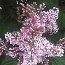 ���� ������, �����, 58 ��� - ��������� 23 ������� 2017 � ������ ���� ����������