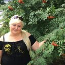 ���� ������, �������, 49 ��� - ��������� 23 ���� 2017 � ������ ���� ����������