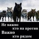  ,  -  6  2017    