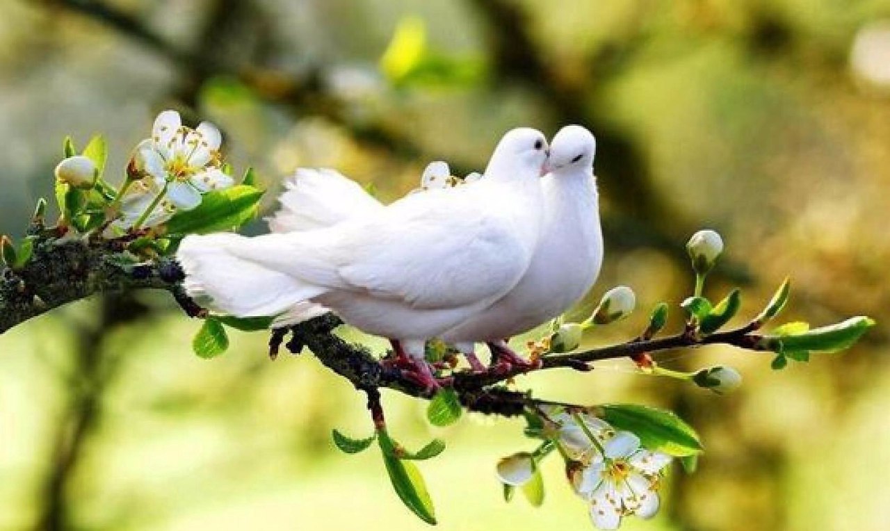 �������� ����� - � ��� ����� ���������, �������� ���� ���� - � �� �� ���. �������� ����� - ���� ... - 3